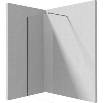 Paravan de dus Walk-in Deante Prizma titan 90x195 cm