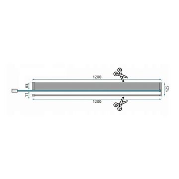 Paravan de dus tip Walk-in Rea Aero N 100x195 cm si etajera cu suport auriu